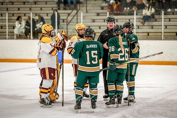 Chisago vs Forest Lake Varsity Hockey 61