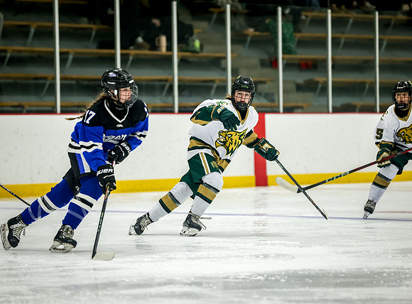 Chisago vs Rogers Varsity Hockey 355
