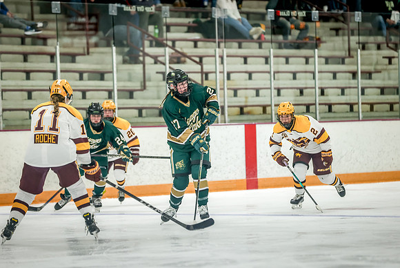 Chisago vs Forest Lake JV Hockey 213