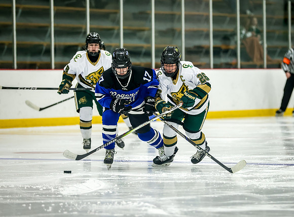 Chisago vs Rogers Varsity Hockey 335