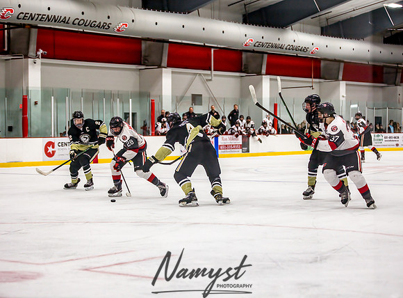Centennial vs Andover Varsity Hockey 315
