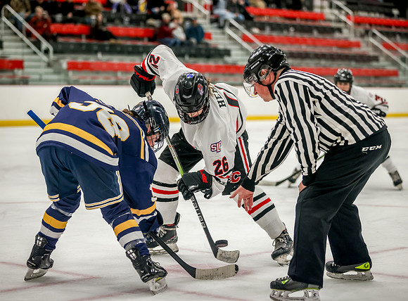 Centennial vs Rosemount JV Hockey 95