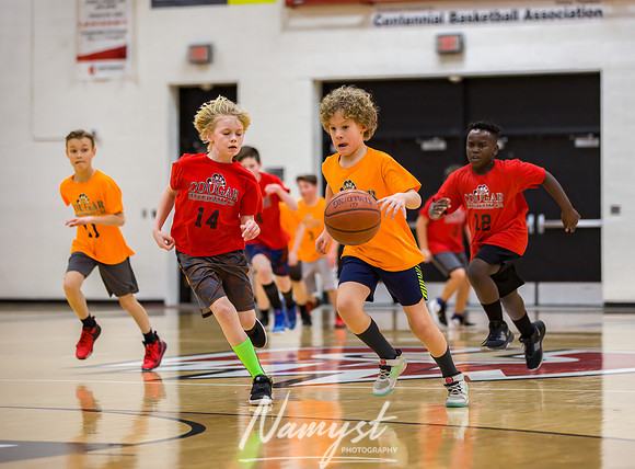 Centennial Basketball Association 181