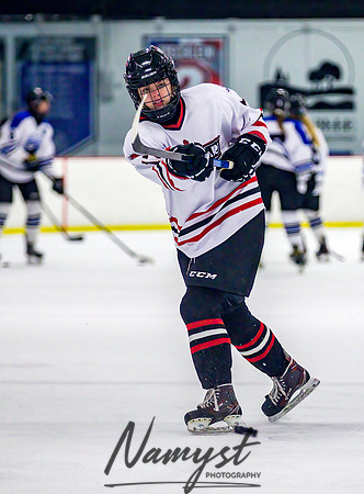 Centennial-Spring Lake Park vs Rogers Girls Varsity Hockey 016