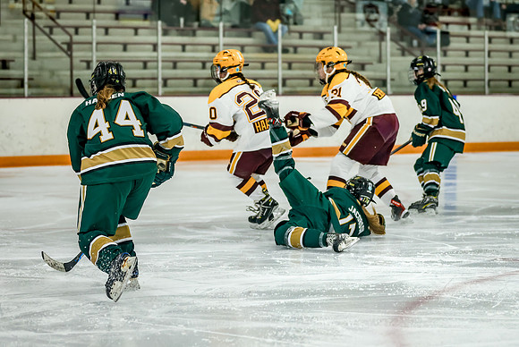 Chisago vs Forest Lake JV Hockey 193