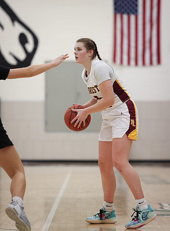 Mounds View vs Forest Lake Varsity Basketball 188