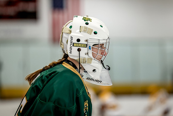 Chisago vs Forest Lake Varsity Hockey 12