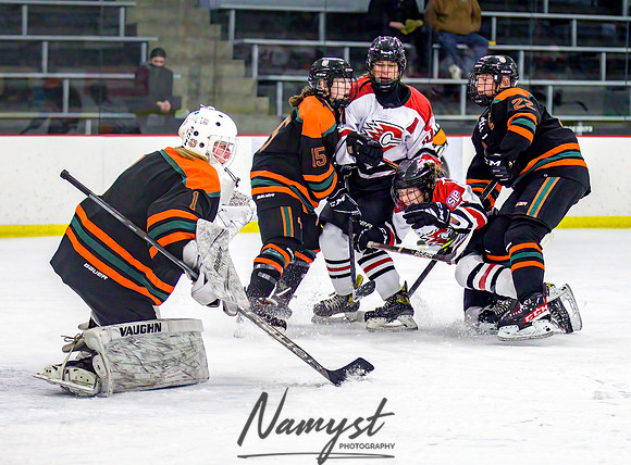 Centennial vs Osseo-Park Center Varsity Hockey 316