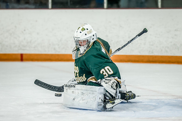 Chisago vs Forest Lake JV Hockey 50