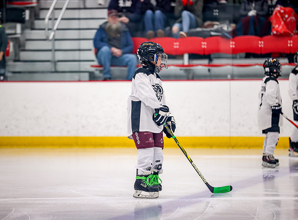 Chisago vs Rogers Varsity Hockey 15