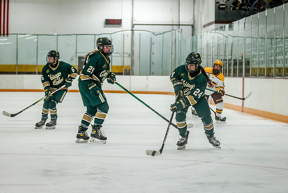 Chisago vs Forest Lake JV Hockey 46
