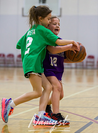 Centennial Basketball Association 088