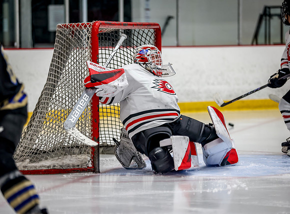 Centennial vs Holy Angels JV Hockey 159