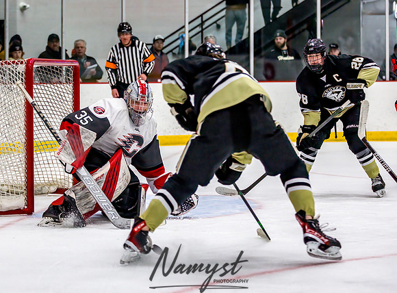 Centennial vs Andover Varsity Hockey 132