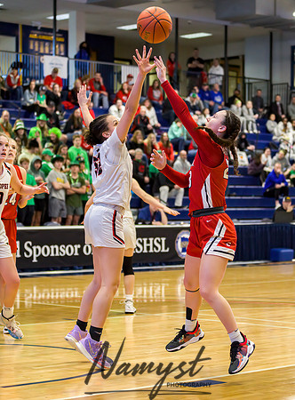 Centennial vs Shakopee Girls Basketball - State Tournament 075