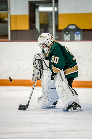 Chisago vs Forest Lake JV Hockey 27