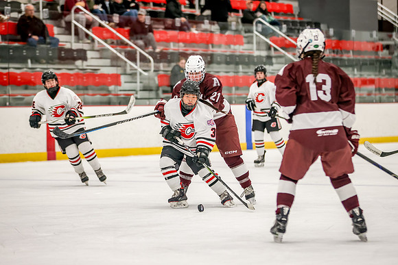 Centennial vs Anoka JV Hockey 112