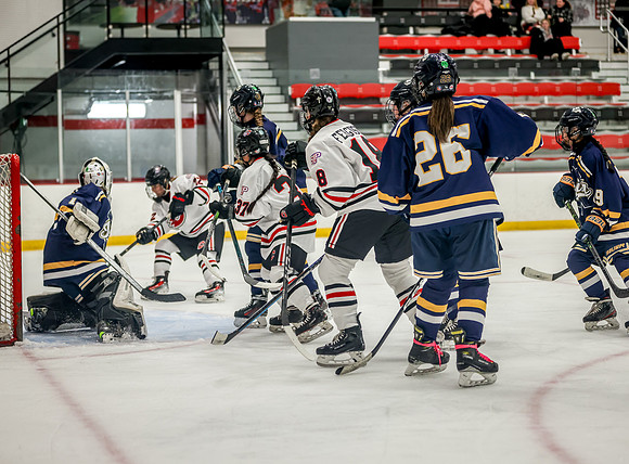 Centennial vs Rosemount JV Hockey 57