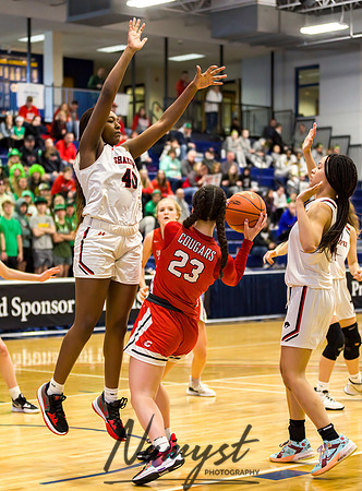 Centennial vs Shakopee Girls Basketball - State Tournament 041