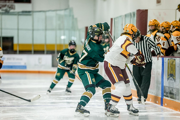 Chisago vs Forest Lake JV Hockey 179