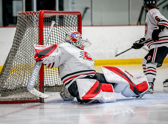 Centennial vs Holy Angels JV Hockey 160