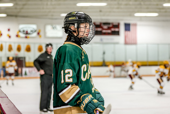 Chisago vs Forest Lake Varsity Hockey 34