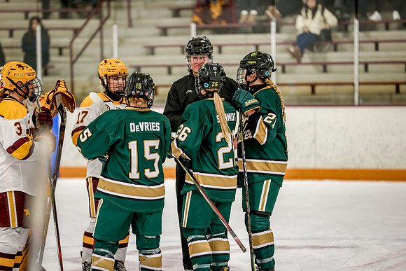 Chisago vs Forest Lake Varsity Hockey 62