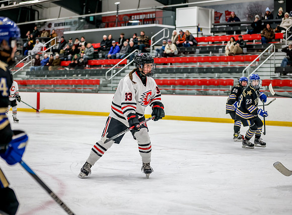 Centennial vs Holy Angels JV Hockey 31