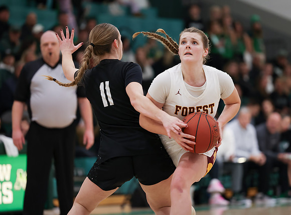 Mounds View vs Forest Lake Varsity Basketball 177