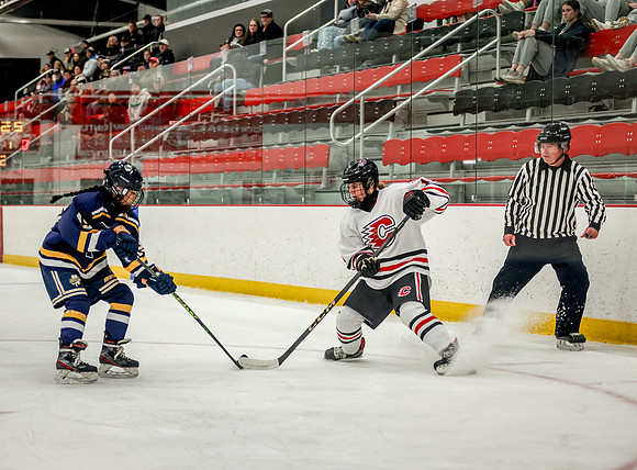 Centennial vs Rosemount JV Hockey 41