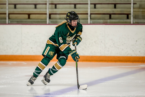 Chisago vs Forest Lake JV Hockey 6