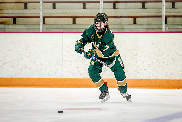 Chisago vs Forest Lake Varsity Hockey 15