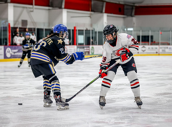 Centennial vs Holy Angels JV Hockey 186
