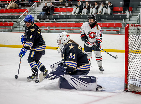 Centennial vs Holy Angels JV Hockey 110