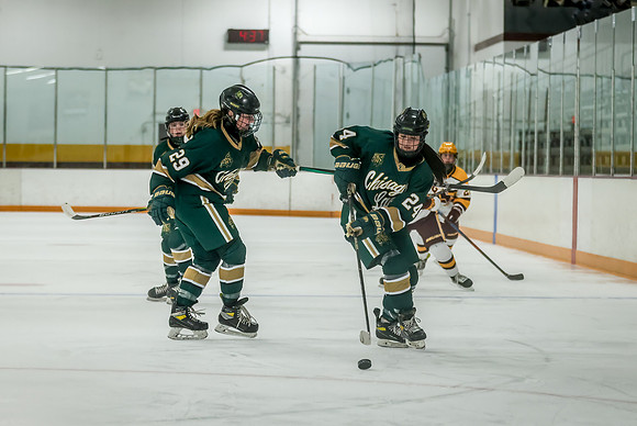 Chisago vs Forest Lake JV Hockey 45