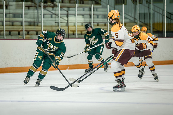 Chisago vs Forest Lake JV Hockey 84