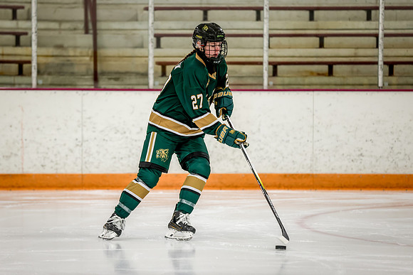 Chisago vs Forest Lake JV Hockey 16