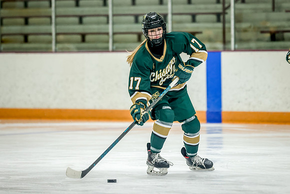 Chisago vs Forest Lake JV Hockey 29