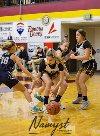 Forest Lake Girls 7 Maroon Basketball 124