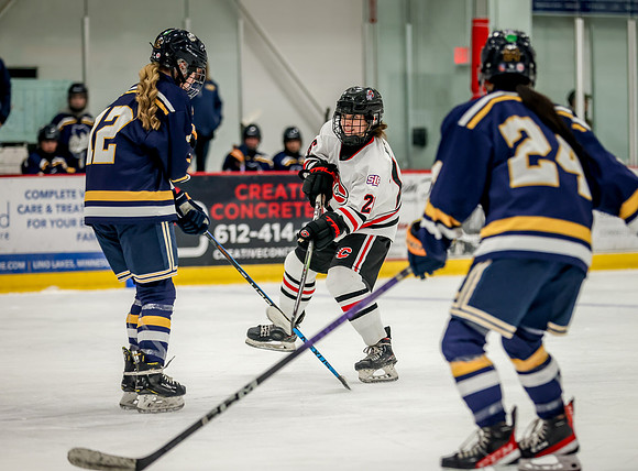 Centennial vs Rosemount JV Hockey 51