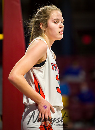 Centennial vs STMA Girls Basketball - State Tournament 049