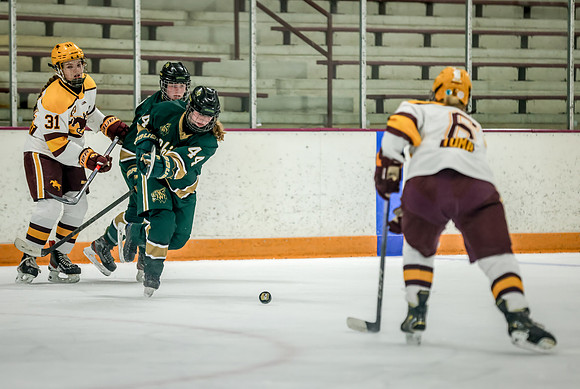 Chisago vs Forest Lake JV Hockey 100
