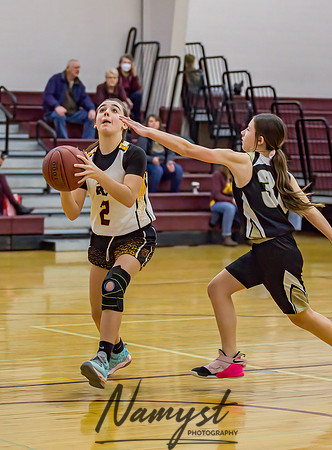 Forest Lake Girls 7 Maroon Basketball 004
