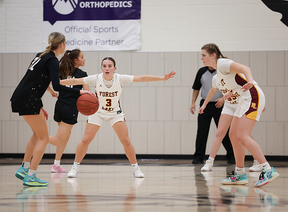 Mounds View vs Forest Lake Varsity Basketball 192