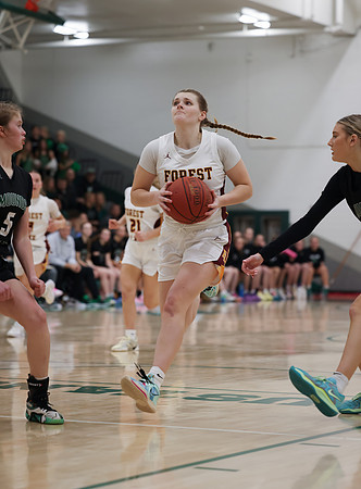 Mounds View vs Forest Lake Varsity Basketball 126