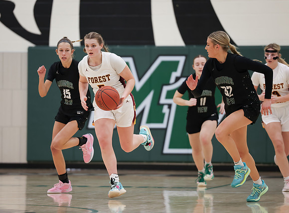 Mounds View vs Forest Lake Varsity Basketball 167