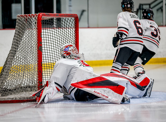 Centennial vs Holy Angels JV Hockey 161