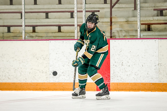 Chisago vs Forest Lake Varsity Hockey 20