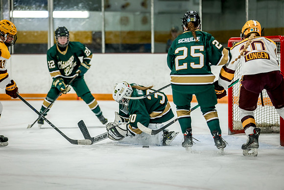 Chisago vs Forest Lake JV Hockey 54