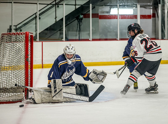 Centennial vs Rosemount JV Hockey 90